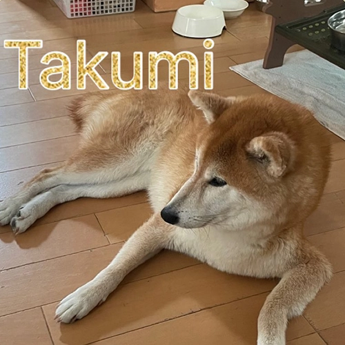 Takumi
